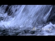 Waterfall Tropical Close Up 1 408
